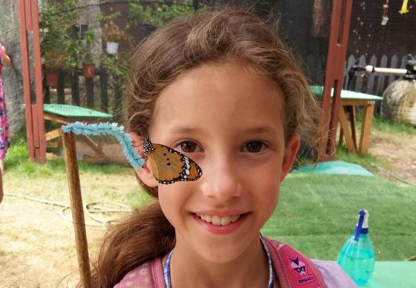 מעיין צבי ליד זיכרון יעקב