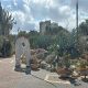 גן הקקטוסים בחולון